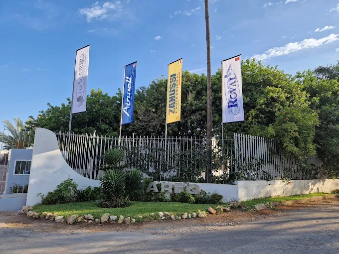 Showroom vue 3